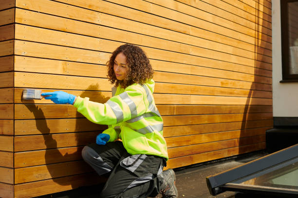 Best Steel Siding Installation  in Des Allemands, LA